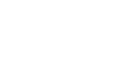Shozna Logo