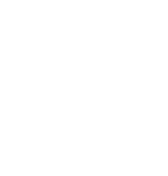 Shozna White Logo